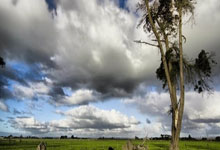 开云体育下载-伦敦世界级比赛为观众带来无尽盛宴