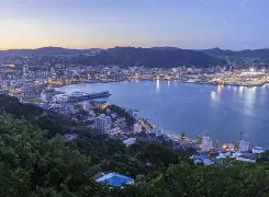 惠灵顿凤凰，加拉克挑战西服